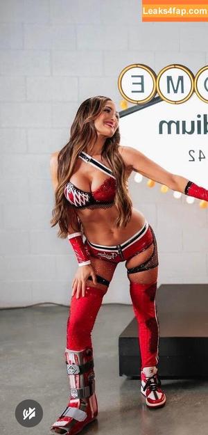 The Bella Twins photo #0677