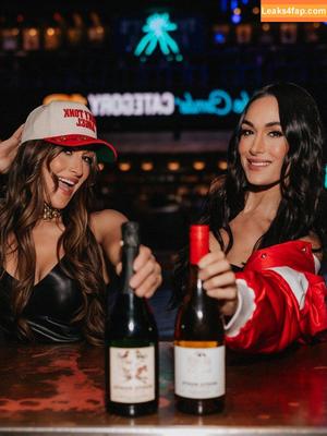 The Bella Twins фото #0689