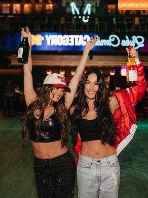 The Bella Twins фото #0692