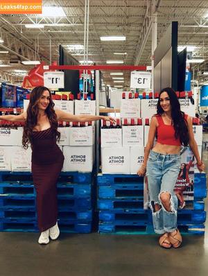 The Bella Twins фото #0704