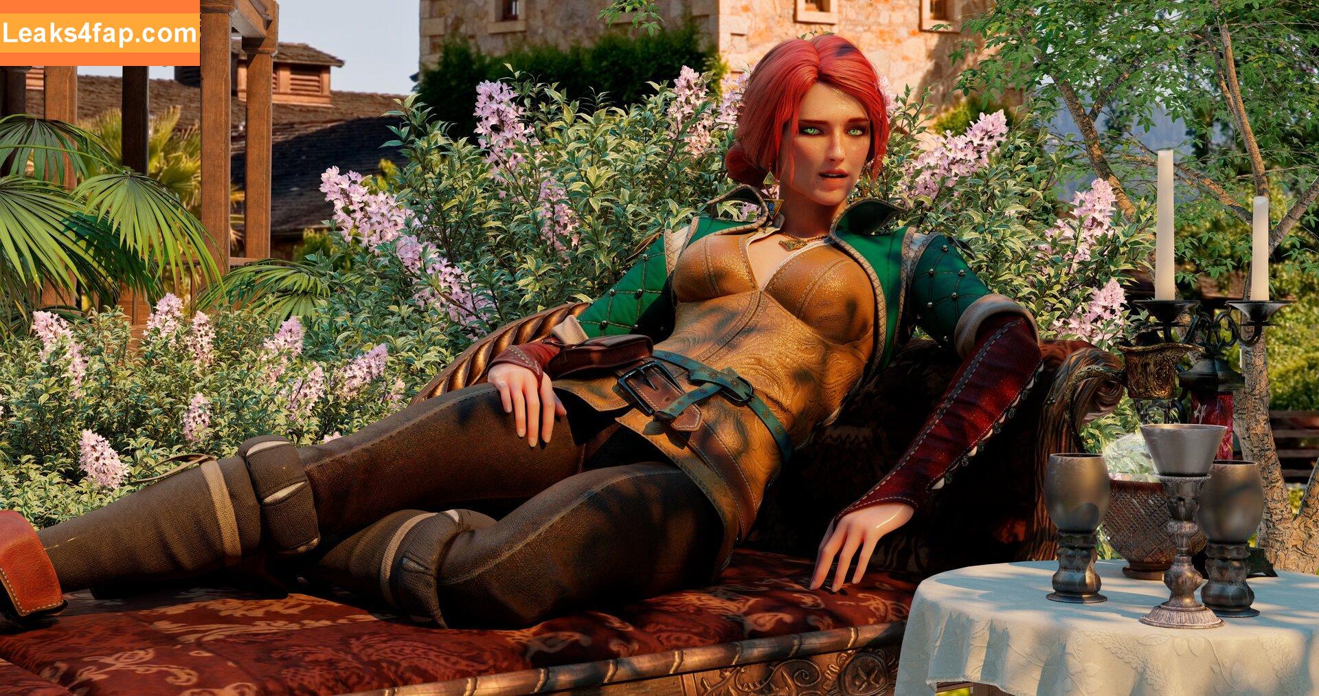 The Witcher /  слитое фото фото #0142