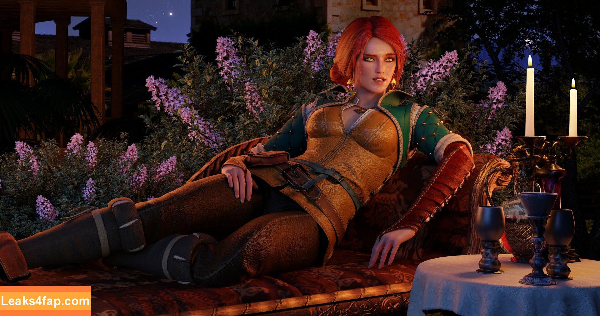 The Witcher /  слитое фото фото #0144