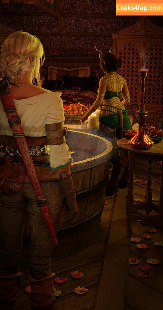 The Witcher /  слитое фото фото #0183