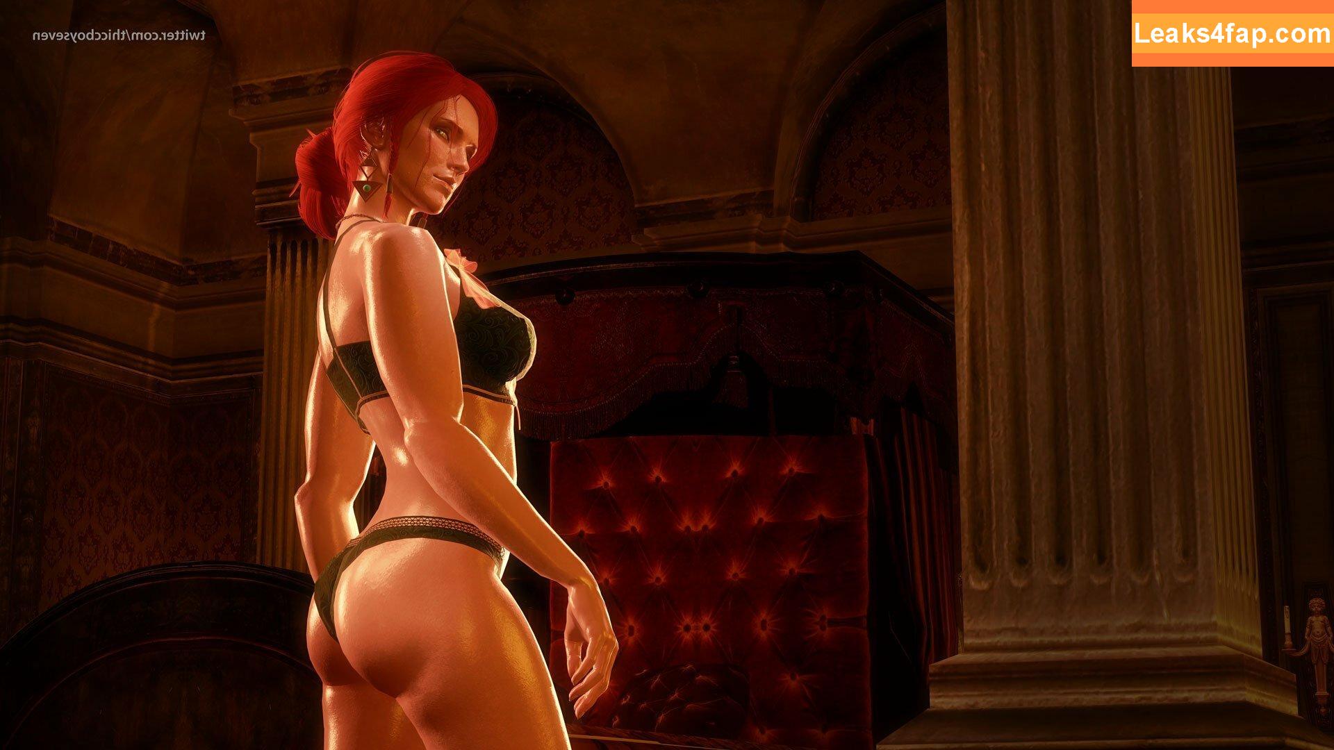 The Witcher /  слитое фото фото #0274