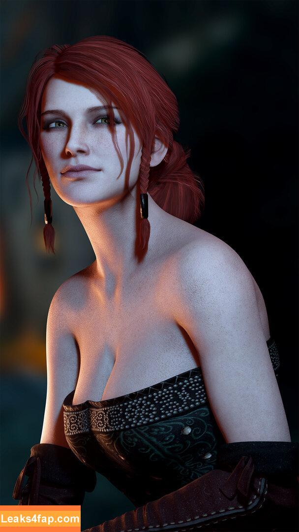 The Witcher /  слитое фото фото #0321