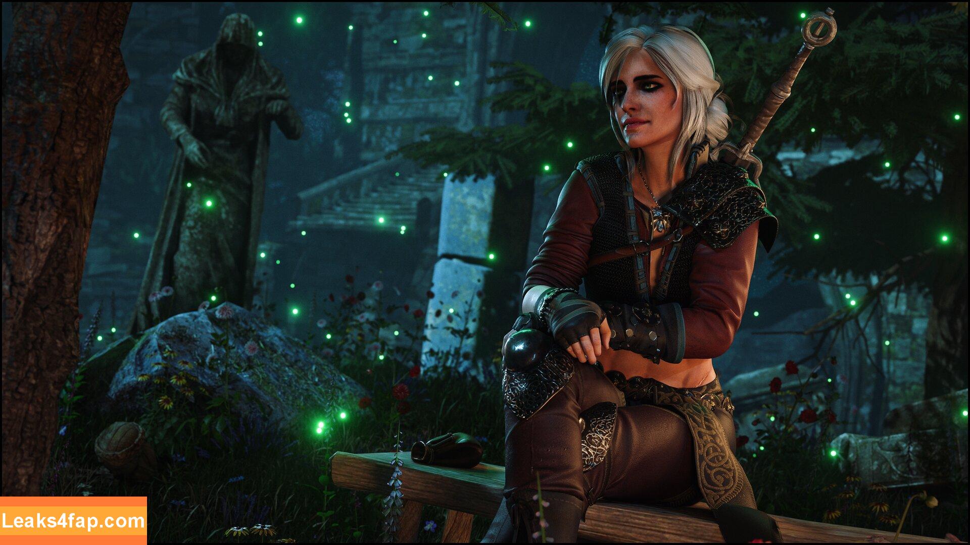 The Witcher /  слитое фото фото #0399