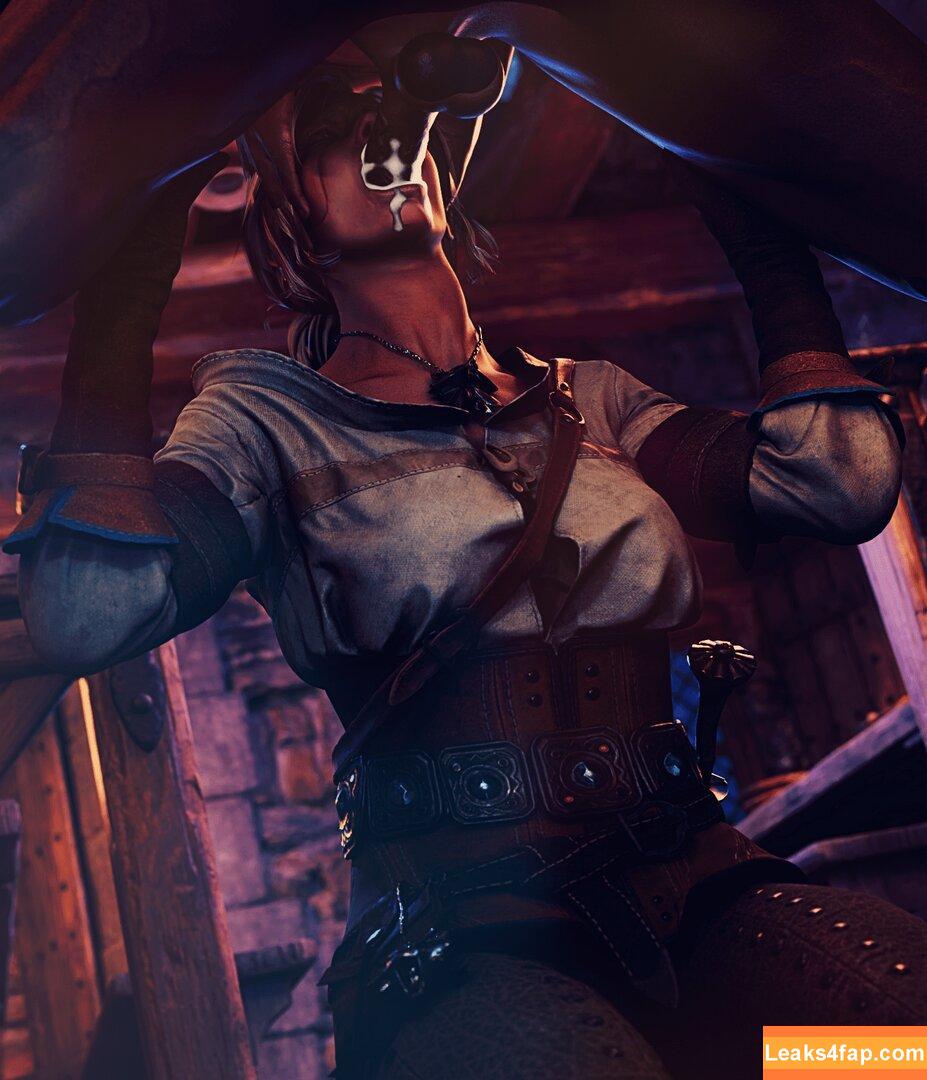 The Witcher /  слитое фото фото #0544