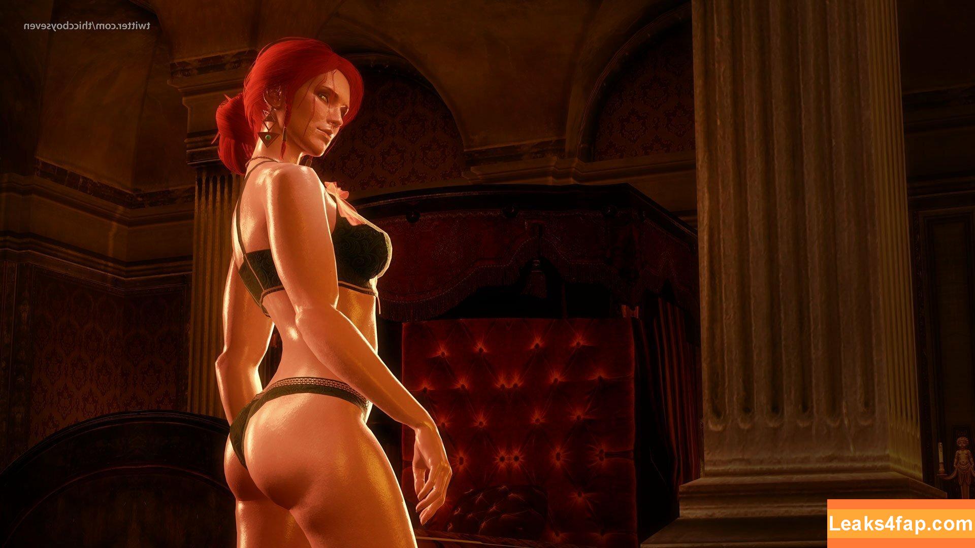 The Witcher /  слитое фото фото #0670