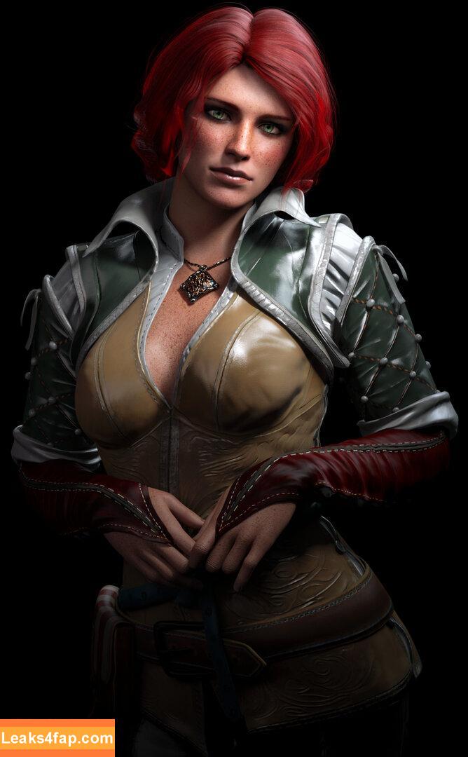 The Witcher /  слитое фото фото #0775