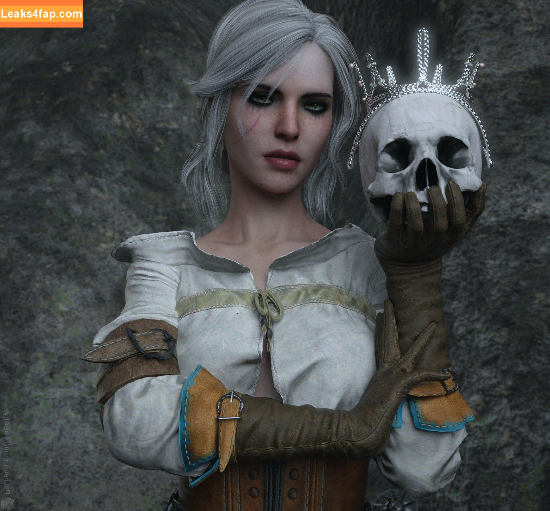 The Witcher /  слитое фото фото #0927