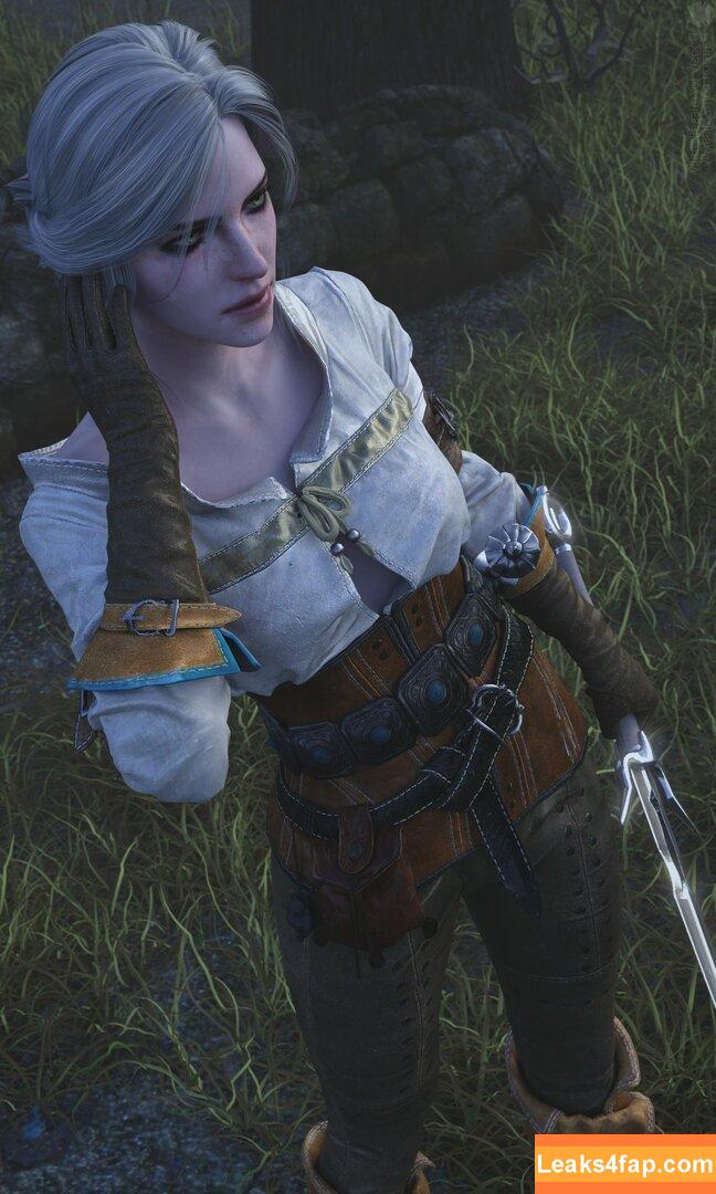 The Witcher /  слитое фото фото #0940