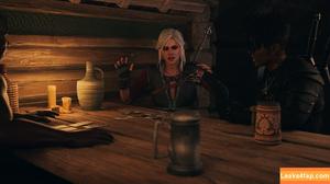 The Witcher фото #0509