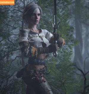 The Witcher фото #0923