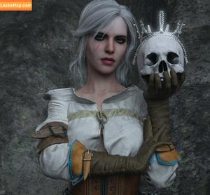 The Witcher фото #0927