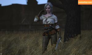 The Witcher фото #0951