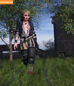 The Witcher photo #0973