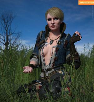 The Witcher photo #0996