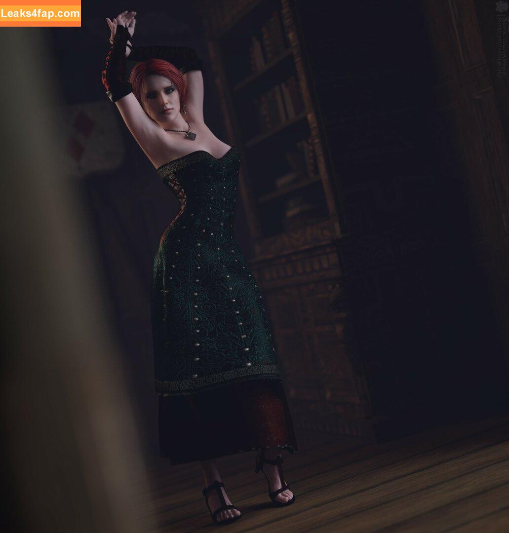 The Witcher /  leaked photo photo #1111