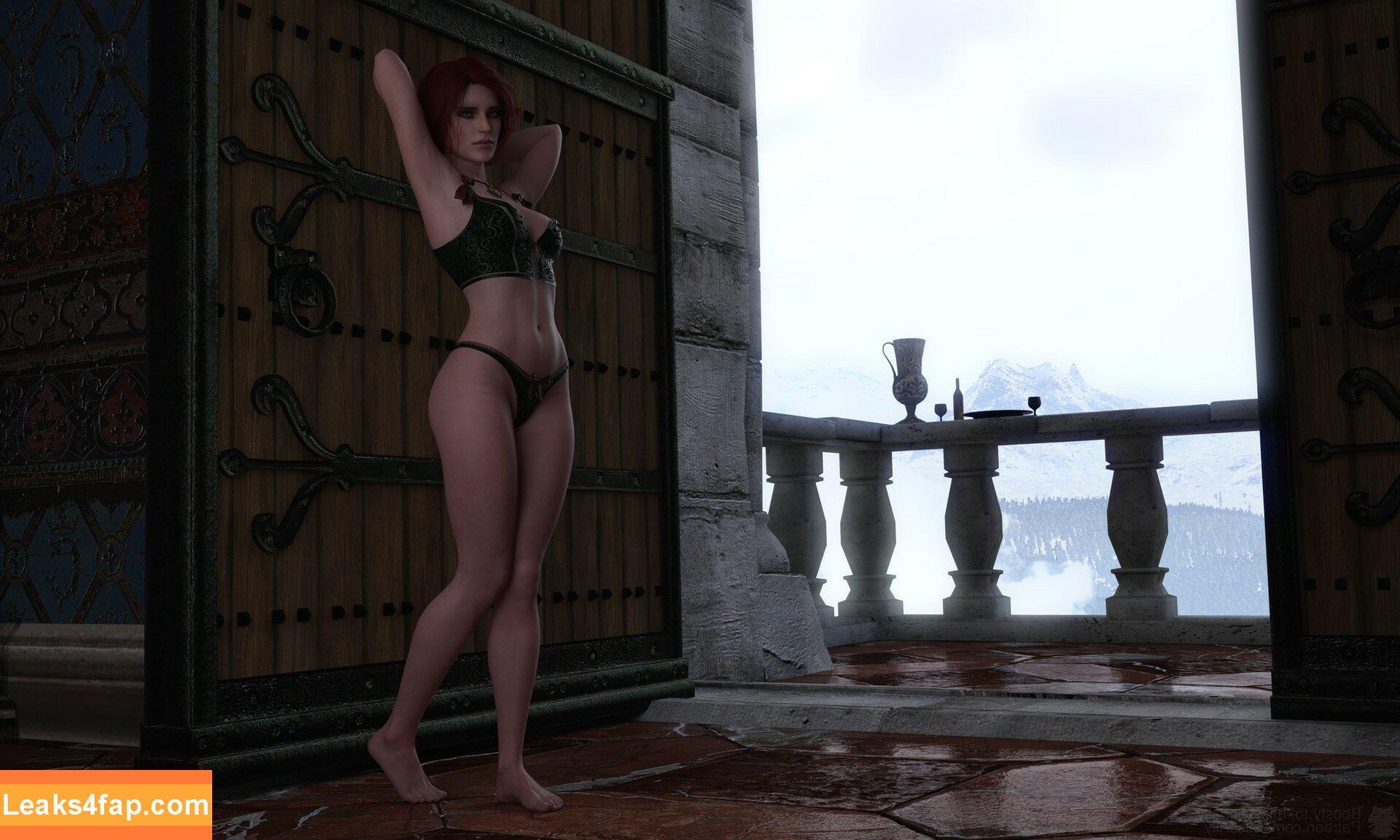 The Witcher /  leaked photo photo #1387