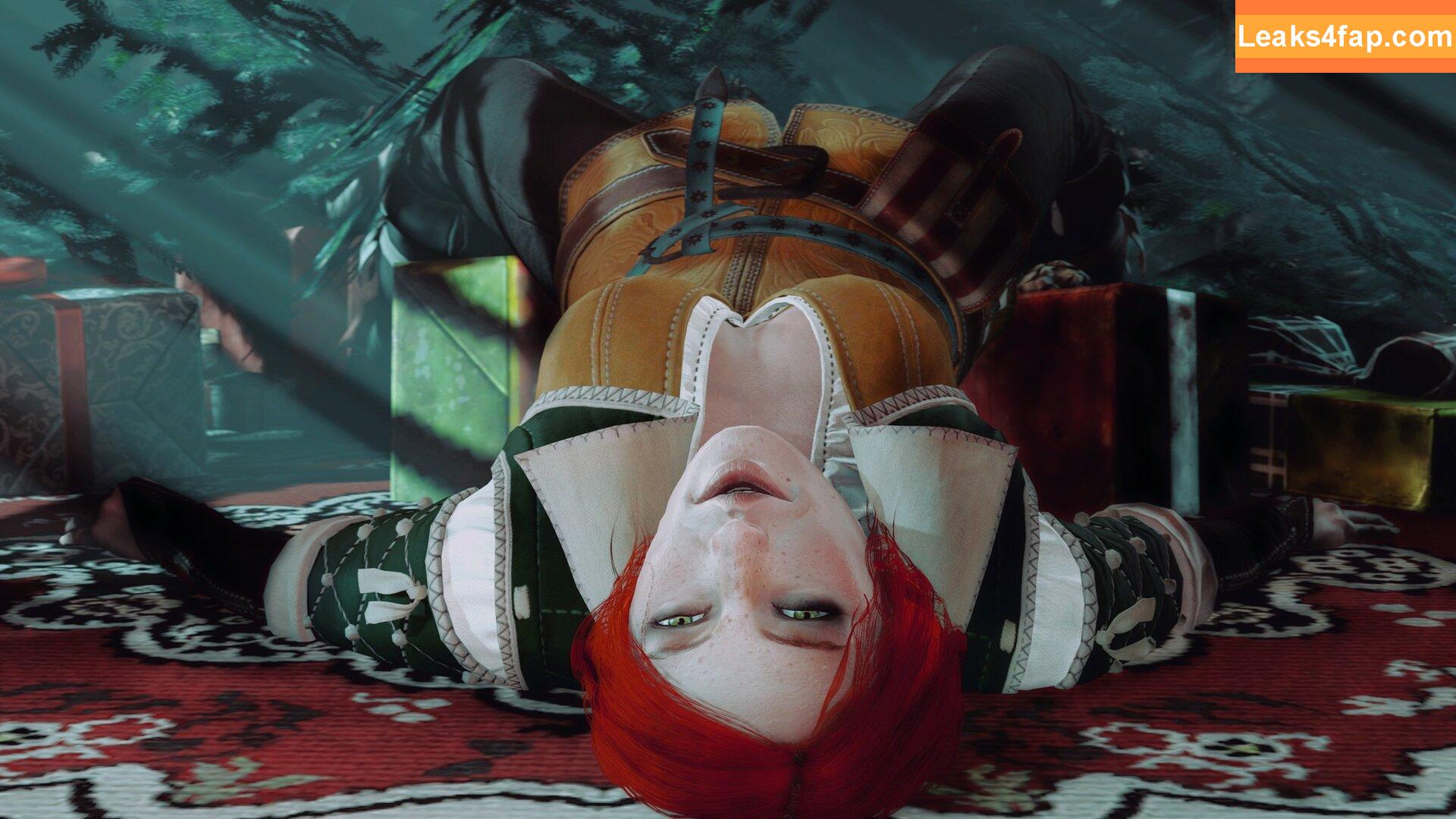 The Witcher /  слитое фото фото #1509