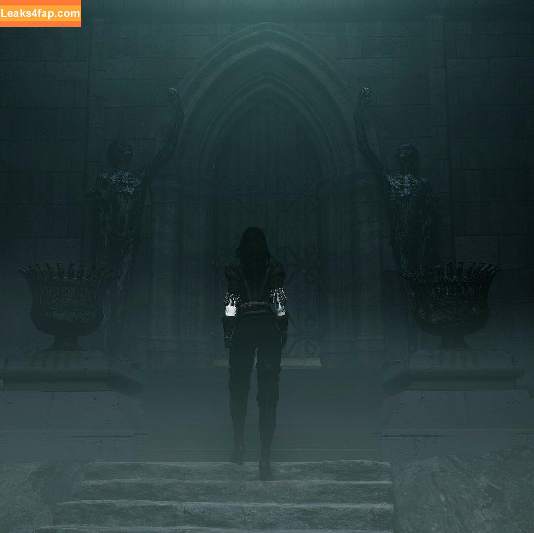 The Witcher /  слитое фото фото #1677