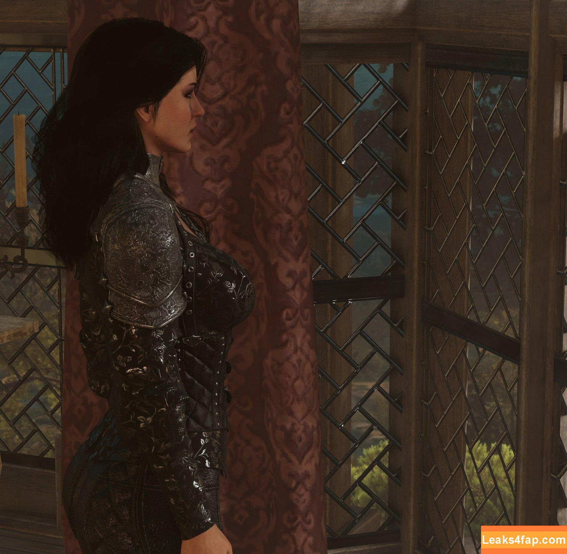 The Witcher /  слитое фото фото #1698