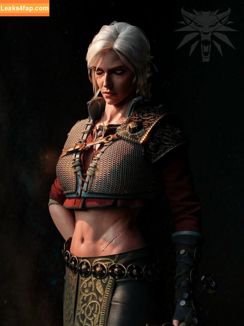 The Witcher /  слитое фото фото #1799