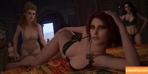 The Witcher photo #1041