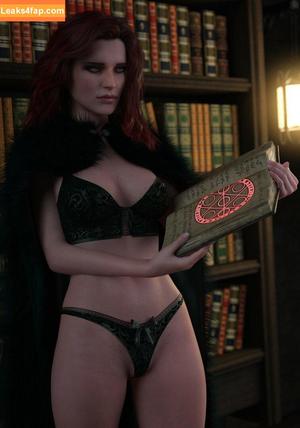 The Witcher photo #1095