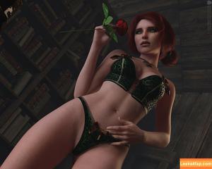 The Witcher photo #1099