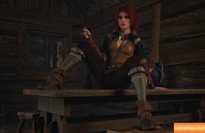 The Witcher photo #1105