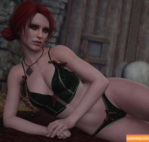 The Witcher photo #1107