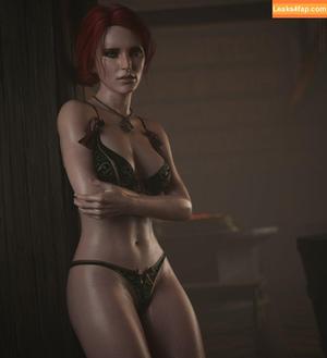 The Witcher photo #1113