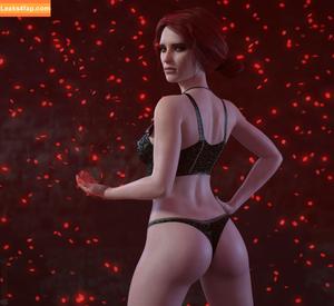 The Witcher photo #1116