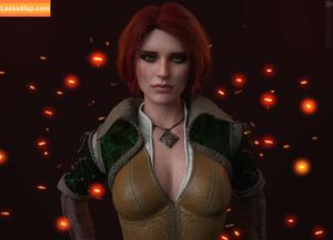 The Witcher photo #1117