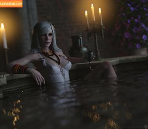 The Witcher photo #1141