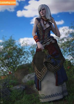 The Witcher photo #1148