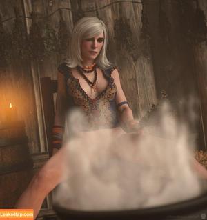 The Witcher photo #1150