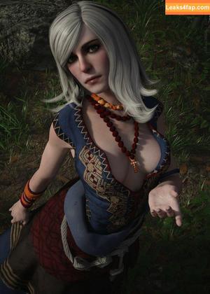 The Witcher photo #1154
