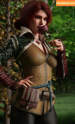 The Witcher photo #1168