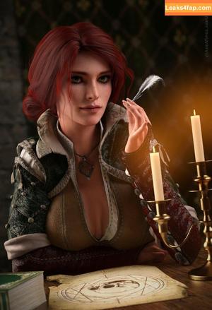 The Witcher photo #1186