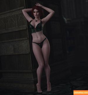 The Witcher photo #1197