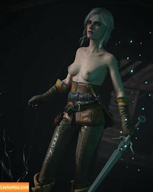 The Witcher photo #1212