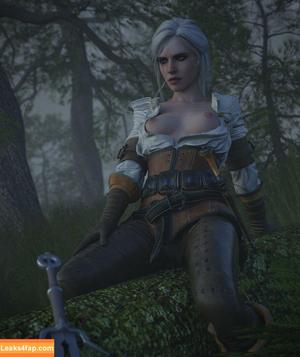 The Witcher photo #1218