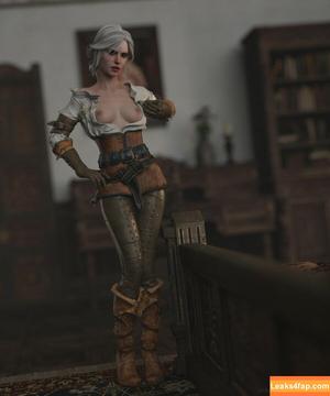 The Witcher photo #1223
