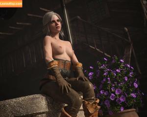 The Witcher photo #1226