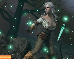 The Witcher photo #1229