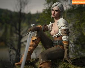 The Witcher photo #1232
