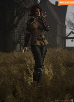 The Witcher photo #1256