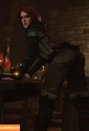 The Witcher photo #1278